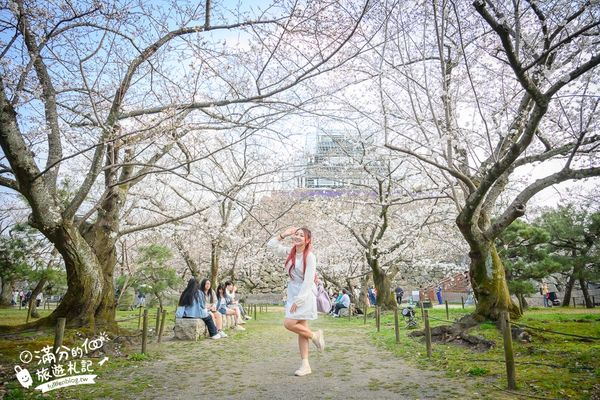 ▲▼2025福岡【舞鶴公園櫻花季】最新花況!福岡城跡點燈&大濠公園,穿和服賞櫻超好看。（圖／部落客滿分的旅遊札記授權提供）
