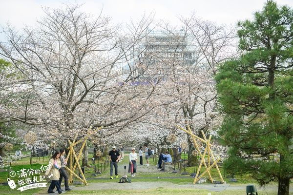 ▲▼2025福岡【舞鶴公園櫻花季】最新花況!福岡城跡點燈&大濠公園,穿和服賞櫻超好看。（圖／部落客滿分的旅遊札記授權提供）