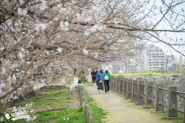 ▲▼2025福岡【舞鶴公園櫻花季】最新花況!福岡城跡點燈&大濠公園,穿和服賞櫻超好看。（圖／部落客滿分的旅遊札記授權提供）