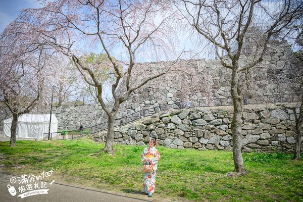 ▲▼2025福岡【舞鶴公園櫻花季】最新花況!福岡城跡點燈&大濠公園,穿和服賞櫻超好看。（圖／部落客滿分的旅遊札記授權提供）