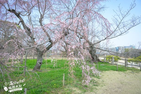 ▲▼2025福岡【舞鶴公園櫻花季】最新花況!福岡城跡點燈&大濠公園,穿和服賞櫻超好看。（圖／部落客滿分的旅遊札記授權提供）