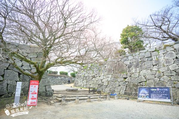 ▲▼2025福岡【舞鶴公園櫻花季】最新花況!福岡城跡點燈&大濠公園,穿和服賞櫻超好看。（圖／部落客滿分的旅遊札記授權提供）
