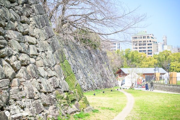 ▲▼2025福岡【舞鶴公園櫻花季】最新花況!福岡城跡點燈&大濠公園,穿和服賞櫻超好看。（圖／部落客滿分的旅遊札記授權提供）
