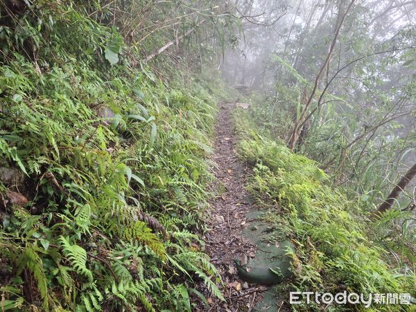 ▲今年2月太管處同仁不畏困難踏查錐麓古道。（圖／太管處提供，下同）