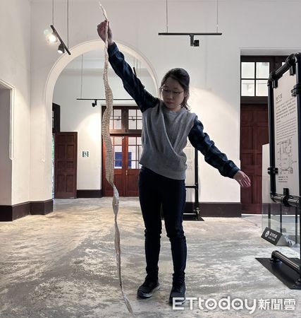 ▲台南市山上花園水道博物館密林區，1日發現一條完整的蛇蛻，長達2公尺，隨即在粉絲專頁以「考古發現」的趣味角度發文，引發網友熱烈討論。（圖／記者林東良翻攝，下同）