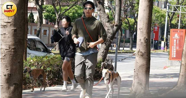 男神愛遛狗1／彭于晏爆新女伴日陪遛狗　台北街頭跟愛犬放風黏踢踢
