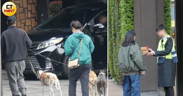 男神愛遛狗1／彭于晏爆新女伴日陪遛狗　台北街頭跟愛犬放風黏踢踢