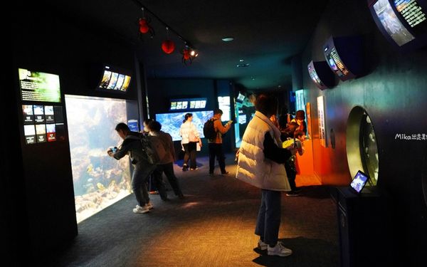 ▲▼市立下關水族館 海響館。（圖／部落客Mika出走美食日誌授權提供）