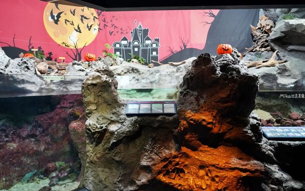 ▲▼市立下關水族館 海響館。（圖／部落客Mika出走美食日誌授權提供）