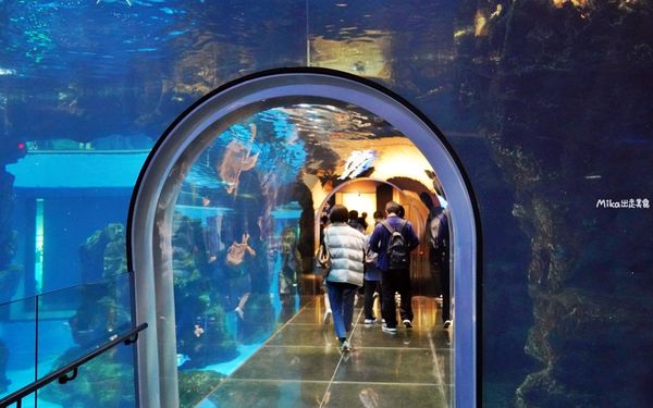 ▲▼市立下關水族館 海響館。（圖／部落客Mika出走美食日誌授權提供）