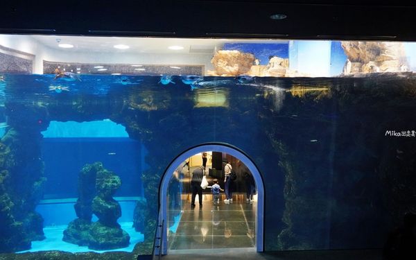 ▲▼市立下關水族館 海響館。（圖／部落客Mika出走美食日誌授權提供）