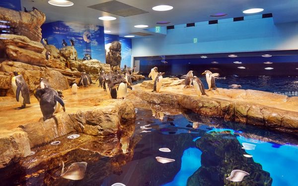 ▲▼市立下關水族館 海響館。（圖／部落客Mika出走美食日誌授權提供）
