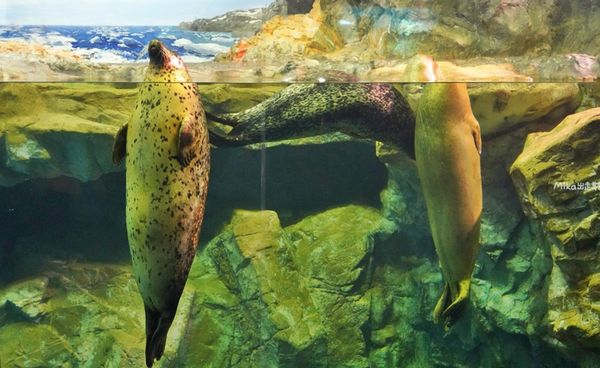 ▲▼市立下關水族館 海響館。（圖／部落客Mika出走美食日誌授權提供）
