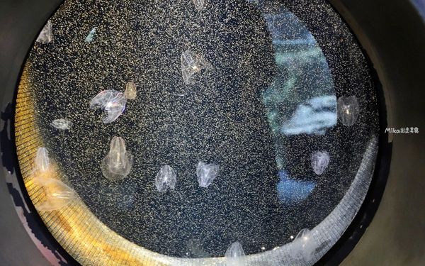 ▲▼市立下關水族館 海響館。（圖／部落客Mika出走美食日誌授權提供）