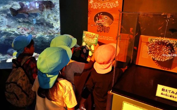 ▲▼市立下關水族館 海響館。（圖／部落客Mika出走美食日誌授權提供）