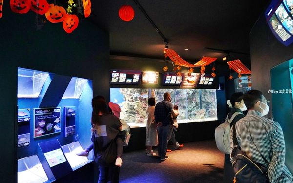 ▲▼市立下關水族館 海響館。（圖／部落客Mika出走美食日誌授權提供）