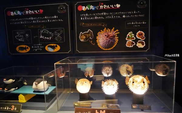 ▲▼市立下關水族館 海響館。（圖／部落客Mika出走美食日誌授權提供）