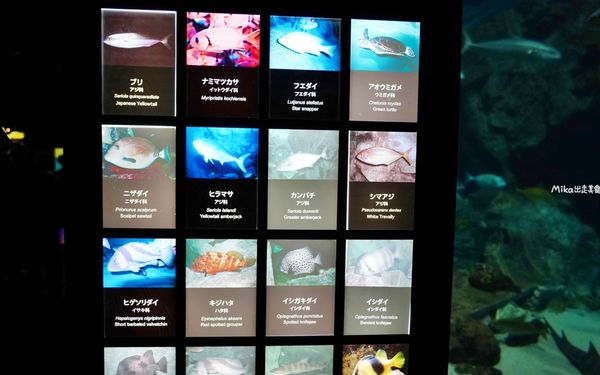 ▲▼市立下關水族館 海響館。（圖／部落客Mika出走美食日誌授權提供）