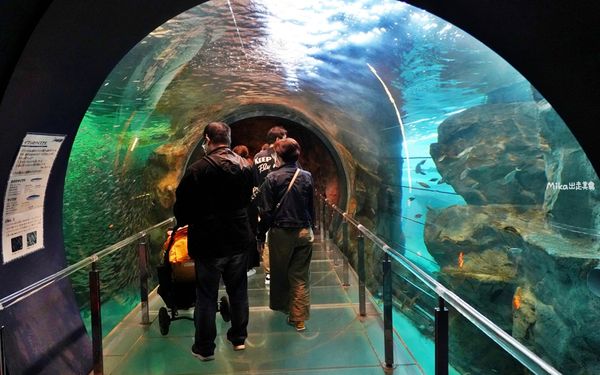 ▲▼市立下關水族館 海響館。（圖／部落客Mika出走美食日誌授權提供）