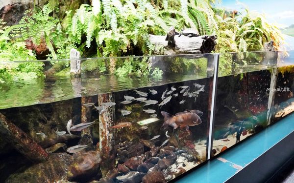 ▲▼市立下關水族館 海響館。（圖／部落客Mika出走美食日誌授權提供）