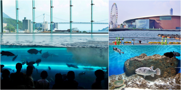 ▲▼市立下關水族館 海響館。（圖／部落客Mika出走美食日誌授權提供）
