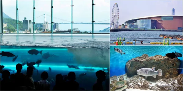 ▲▼市立下關水族館 海響館。（圖／部落客Mika出走美食日誌授權提供）