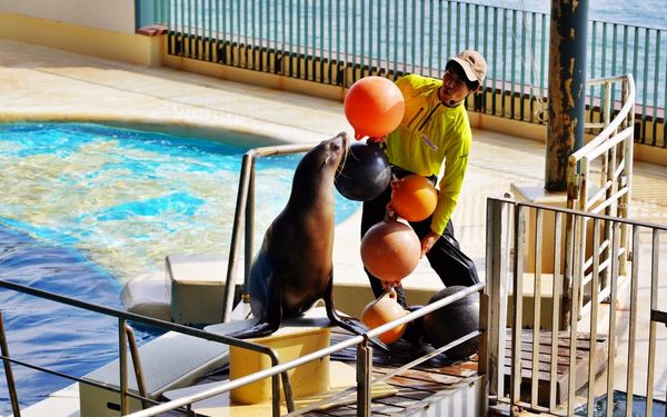▲▼市立下關水族館 海響館。（圖／部落客Mika出走美食日誌授權提供）