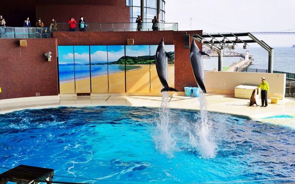 ▲▼市立下關水族館 海響館。（圖／部落客Mika出走美食日誌授權提供）