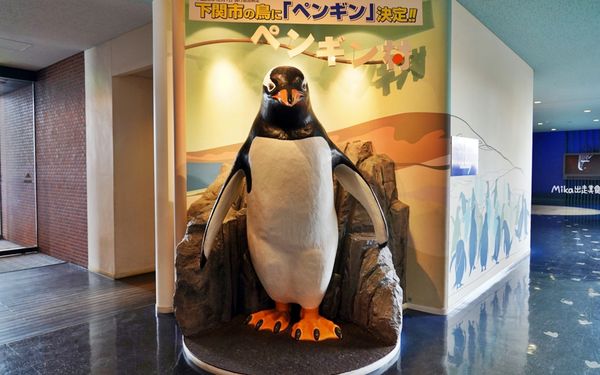▲▼市立下關水族館 海響館。（圖／部落客Mika出走美食日誌授權提供）