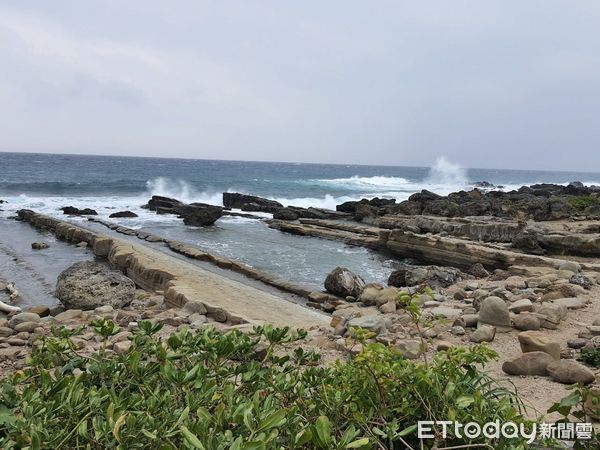 ▲夜幕降臨，小野柳的生態舞台才正式開演。（圖／東管處提供，下同）