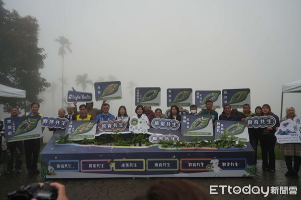 ▲縣府農業處今日於古坑鄉華南社區共生田舉行「漫遊螢林‧Light Yunlin」記者會。（圖／記者游瓊華翻攝）