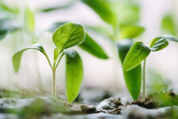 ▲▼咖啡渣的5個妙用。（圖／Unsplash）