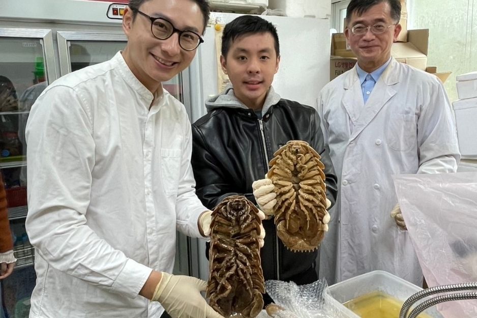 ▲▼南大命名物種西沙深水虱！台灣新發現。（圖／台南大學）