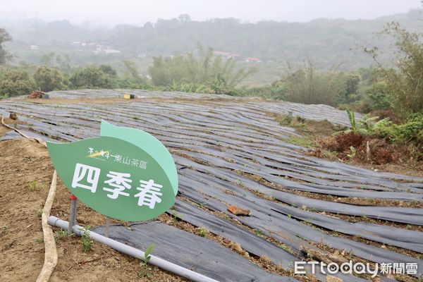 ▲「茶之魔手」台南東山新茶葉產區啟用，市長黃偉哲感謝董事長王賢明選擇投資台南，期待共同為未來台南的茶業發展，開創另一個春天。（圖／記者林東良翻攝，下同）