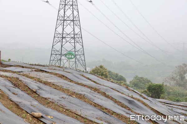 ▲「茶之魔手」台南東山新茶葉產區啟用，市長黃偉哲感謝董事長王賢明選擇投資台南，期待共同為未來台南的茶業發展，開創另一個春天。（圖／記者林東良翻攝，下同）