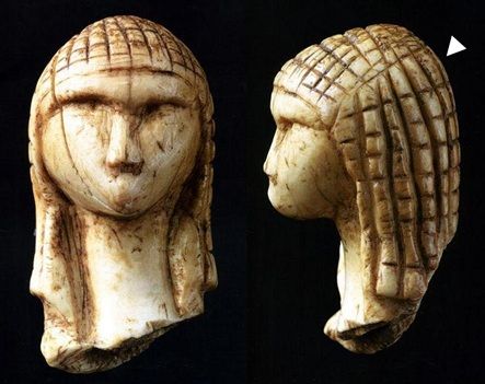 ▲▼台大醫工系教授林頌然團隊揭開人類長髮演化之謎，為治療禿髮提供新線索。（圖／台大提供）