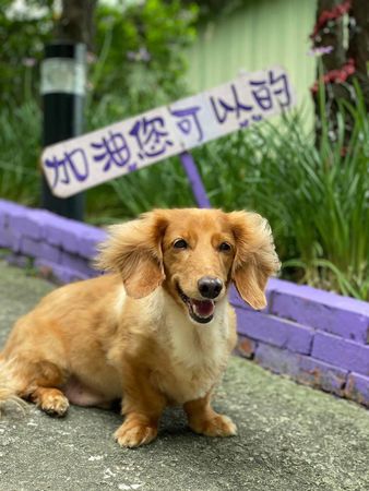 ▲▼錦雯。（圖／翻攝自FACEBOOK／錦雯）