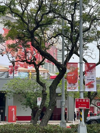 ▲味全龍開幕戰與台北深度連結共築主場文化。（圖／味全龍隊提供）