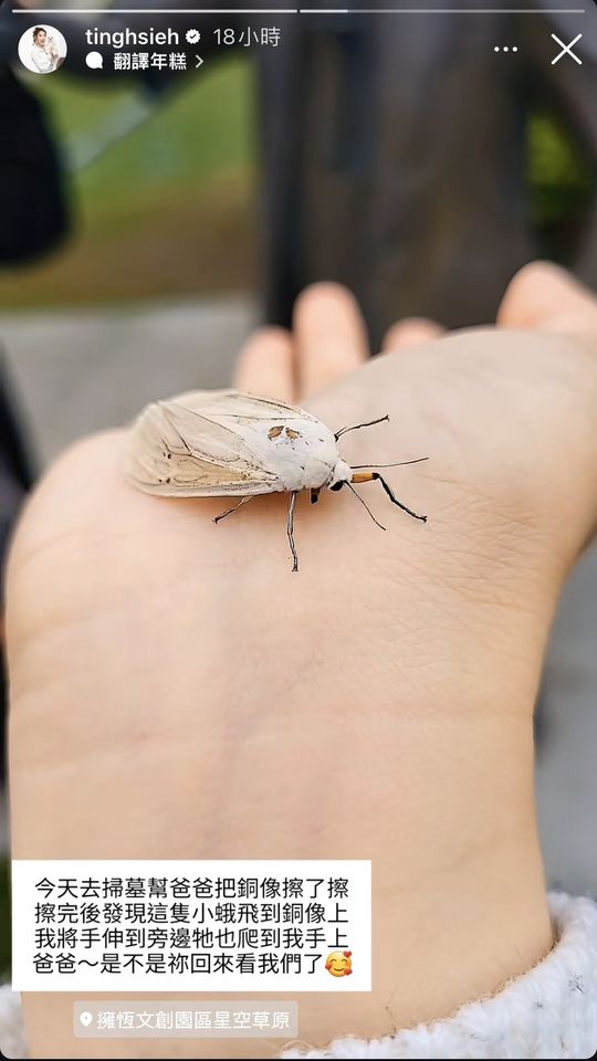 ▲▼謝金晶和謝順福去掃墓。（圖／翻攝謝金晶IG）