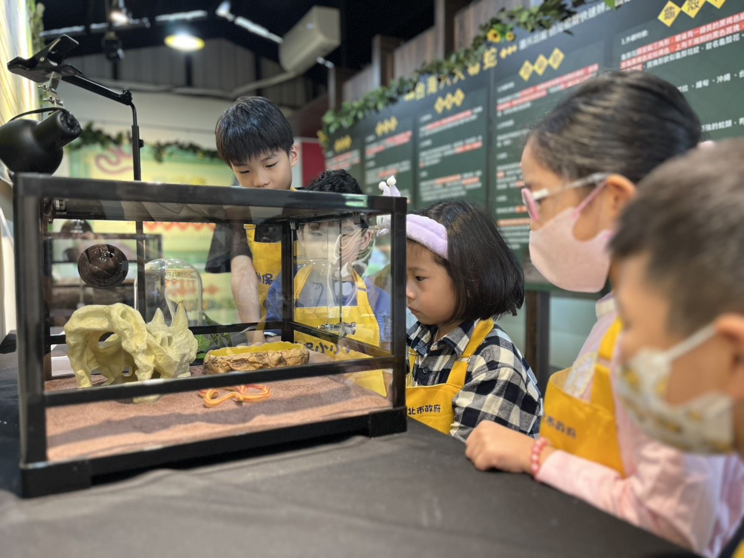 ▲新北動保處推動物互動體驗。（圖／新北市動保處提供）