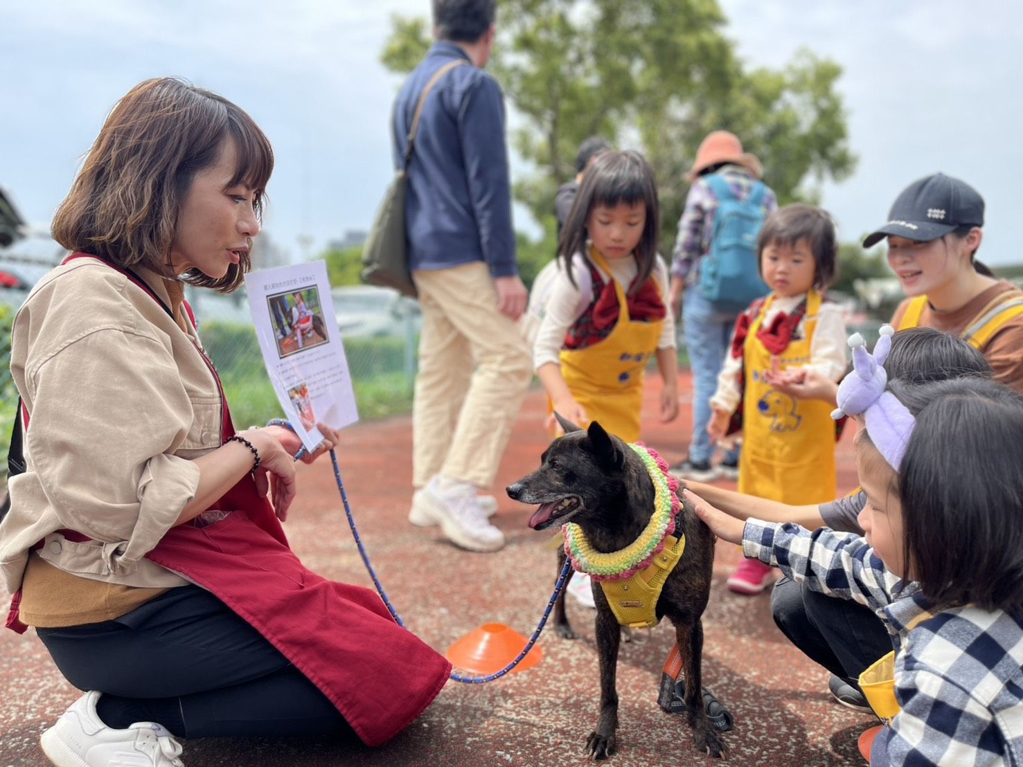 ▲新北動保處推動物互動體驗。（圖／新北市動保處提供）