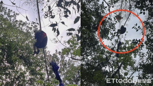 ▲▼屏東縣賽嘉滑翔飛行場，今（４）日一名民眾在下午進行飛行傘項目時，不明原因卡在一棵約10公尺高的竹子上    。（圖／記者陳崑福翻攝）