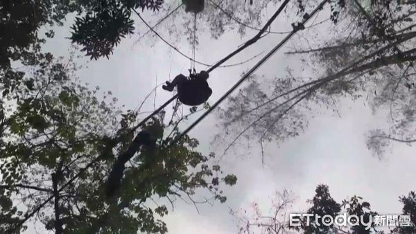 ▲▼屏東縣賽嘉滑翔飛行場，今（４）日一名民眾在下午進行飛行傘項目時，不明原因卡在一棵約10公尺高的竹子上    。（圖／記者陳崑福翻攝）