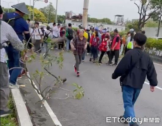 ▲路樹突然倒塌大甲媽信眾合力搬上安全島。（圖／翻攝自threads 警方提供）