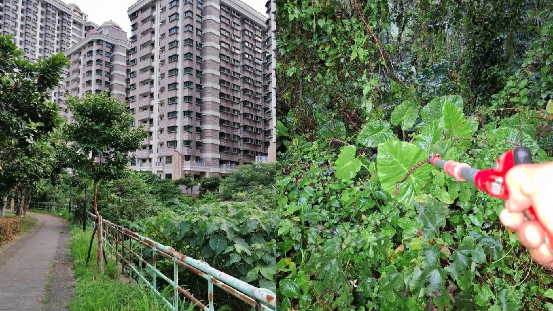 ▲新北動保處授「三不五要」防蛇攻略。（圖／新北市動保處提供）