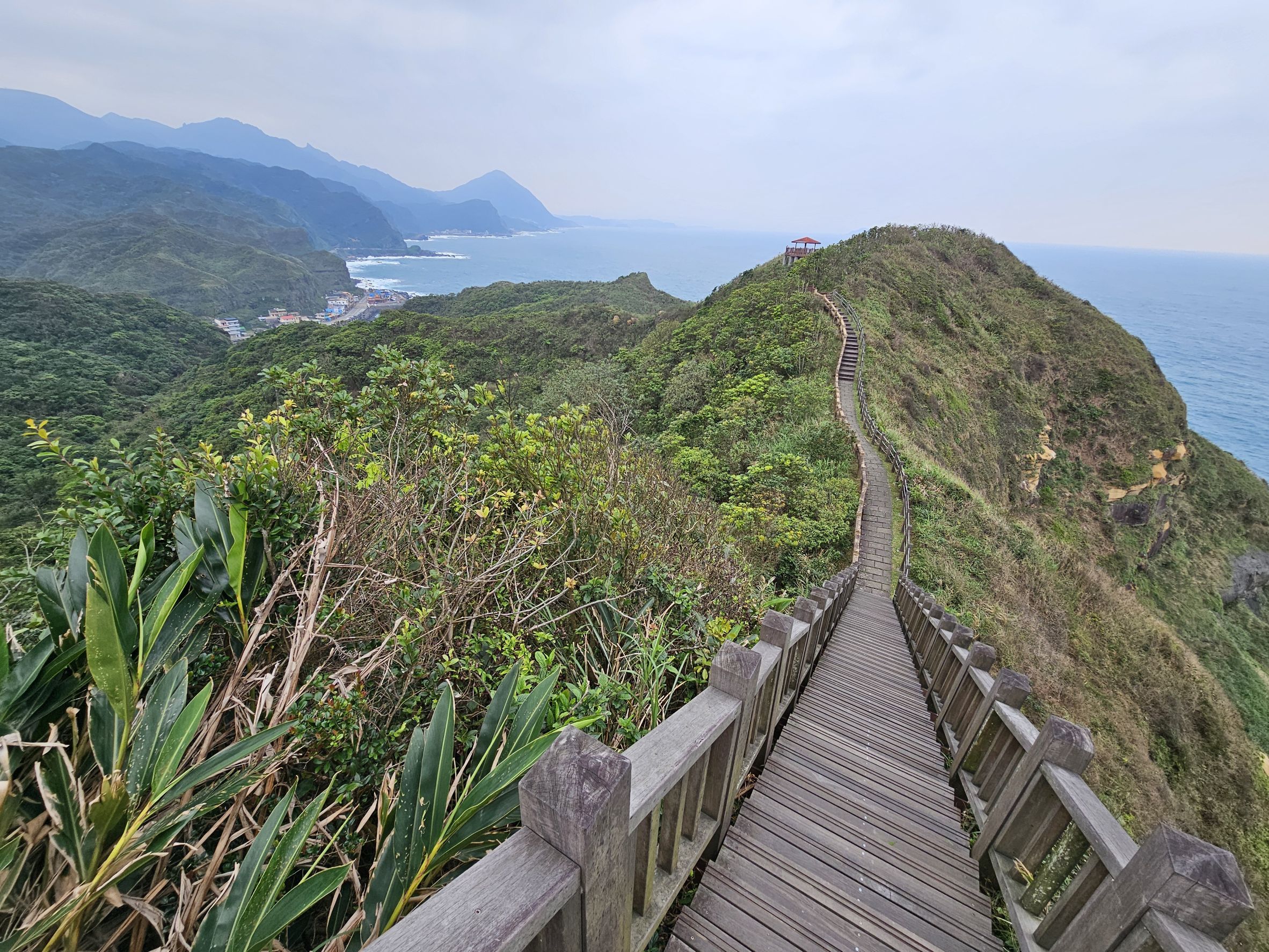 ▲新北鼻頭漁港魅力大公開。（圖／新北市漁業處提供）