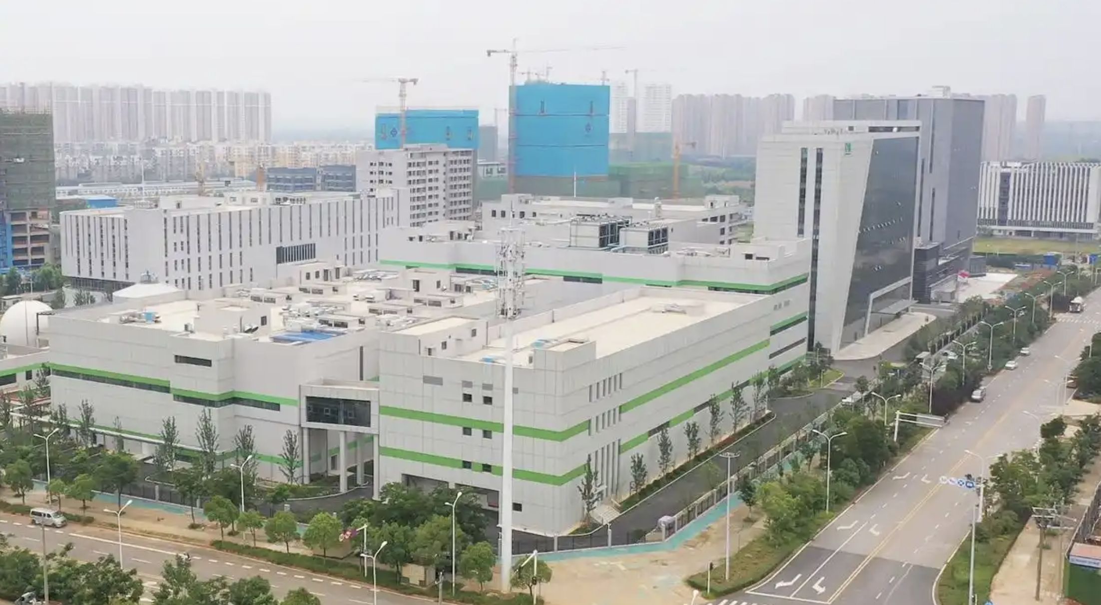 ▲武漢禾元生物研發的「稻米造血」人血清白蛋白已進入新藥審批流程。（圖／翻攝央視）