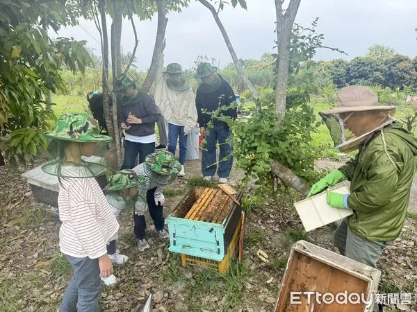 ▲▼    嘉義民宿養蜂體驗吸引遊客   。（圖／記者翁伊森翻攝）