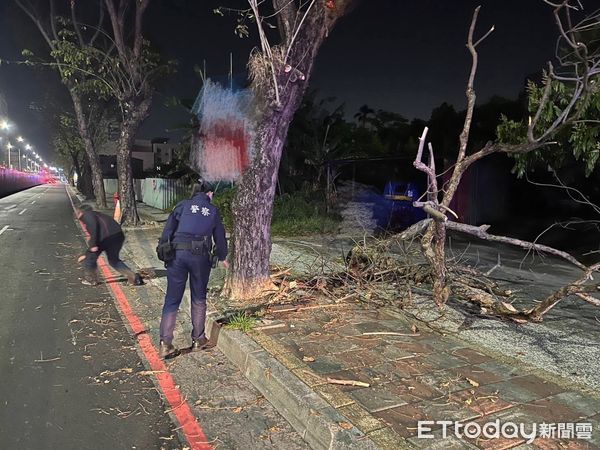 ▲▼岡山警分局壽天派出所員警，日前夜間執行巡邏勤務時，接獲民眾通報，指稱岡山區中山北路段發生大型路樹倒塌事件，大量斷裂的樹枝和落葉散落在車道上，嚴重阻礙人車通行，情況危急。（圖／記者吳世龍翻攝）
