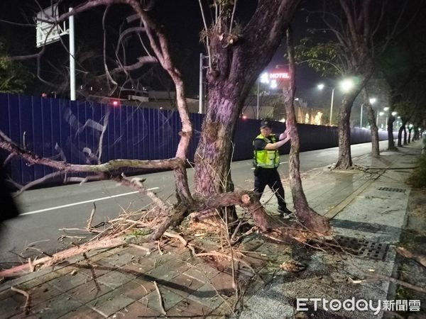▲▼岡山警分局壽天派出所員警，日前夜間執行巡邏勤務時，接獲民眾通報，指稱岡山區中山北路段發生大型路樹倒塌事件，大量斷裂的樹枝和落葉散落在車道上，嚴重阻礙人車通行，情況危急。（圖／記者吳世龍翻攝）